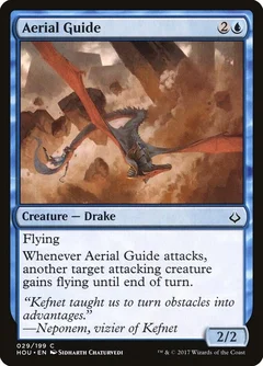 Aerial Guide 29