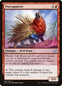 Porcuparrot Foil 128