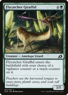 Flycatcher Giraffid 153