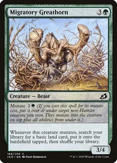 Migratory Greathorn 165