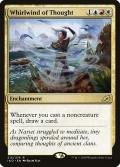 Whirlwind of Thought 215