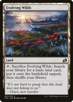 Evolving Wilds Foil 247