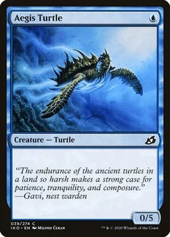 Aegis Turtle Foil 39
