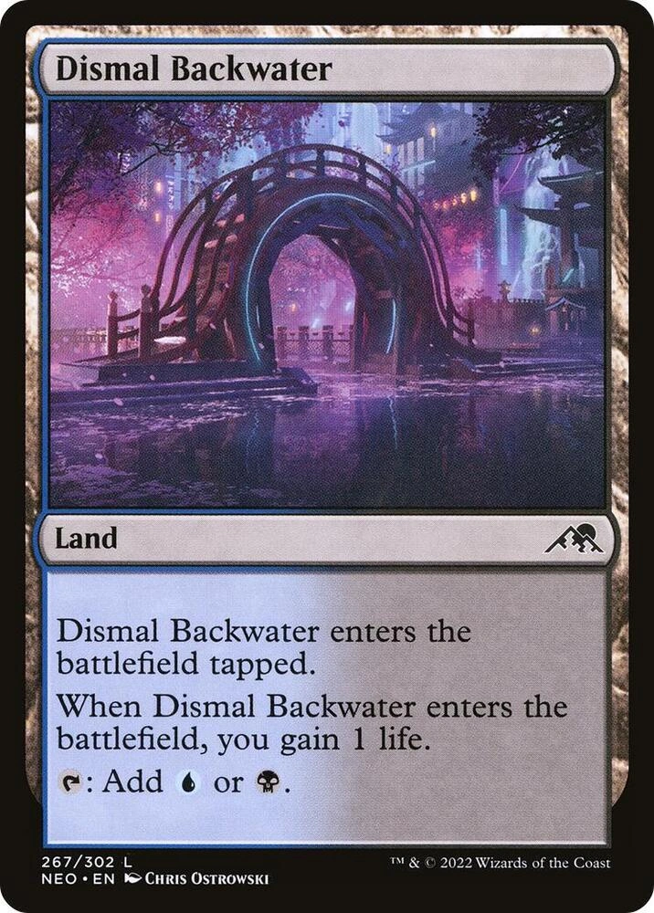 Dismal Backwater Foil