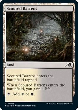 Scoured Barrens Foil