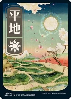 Plains (293) - JP Full Art Foil 293