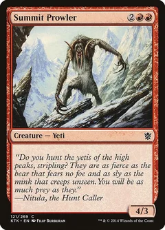 Summit Prowler Foil 121