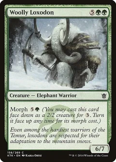 Woolly Loxodon Foil 158