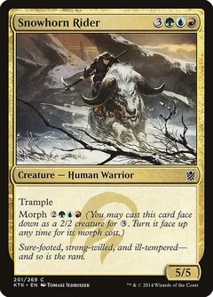 Snowhorn Rider 201