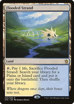 Flooded Strand Foil 233
