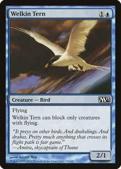 Welkin Tern Foil 79
