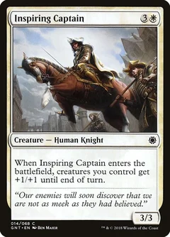 Inspiring Captain 14