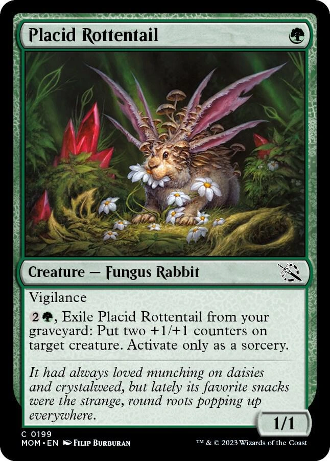 Placid Rottentail Foil