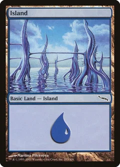 Island (293) Foil 293