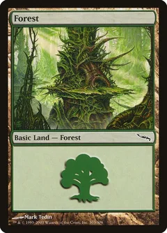 Forest (303) 303