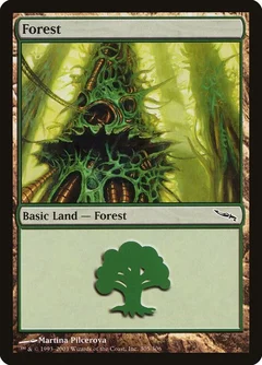 Forest (305) 305