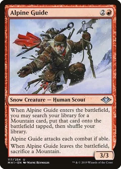Alpine Guide Foil 117