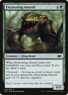 Excavating Anurid Foil 163