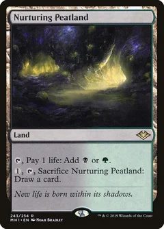 Nurturing Peatland 243