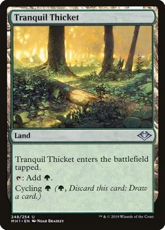 Tranquil Thicket Foil 248