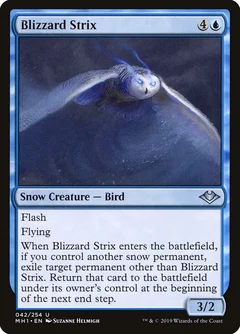 Blizzard Strix Foil 42