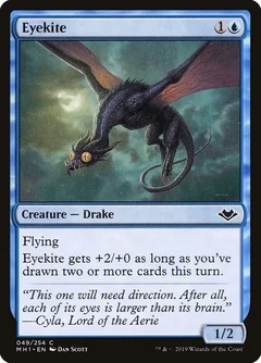 Eyekite 49