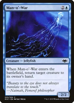 Man-o'-War Foil 55