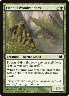 Citanul Woodreaders 140