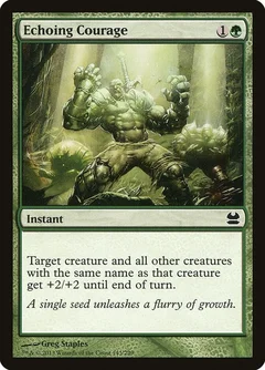 Echoing Courage Foil 143