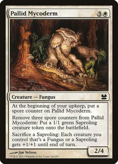 Pallid Mycoderm Foil 24