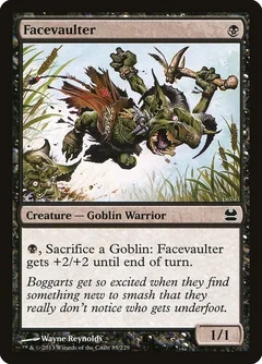Facevaulter Foil 85