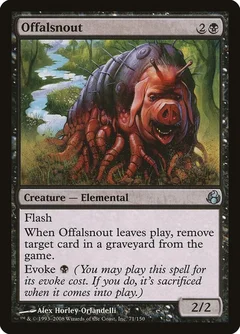 Offalsnout 71