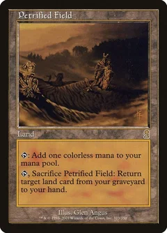 Petrified Field Foil 323
