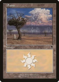 Plains (333) 333