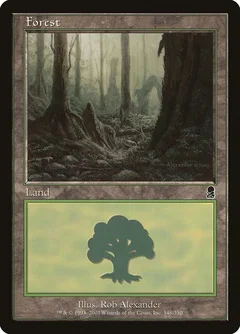 Forest (348) 348