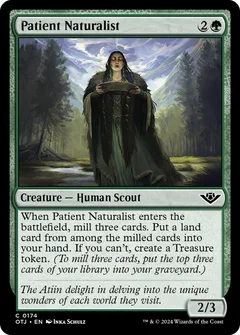 Patient Naturalist Foil 174