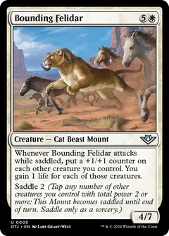 Bounding Felidar Foil 5