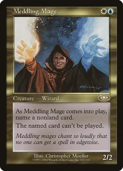 Meddling Mage 116