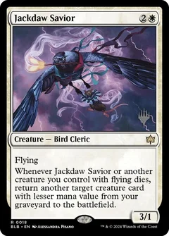 Jackdaw Savior 18