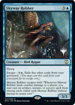 Skyway Robber Foil 31