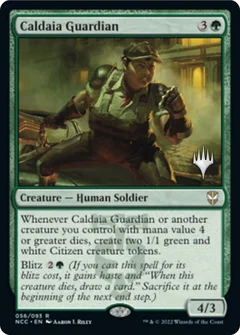Caldaia Guardian Foil 56