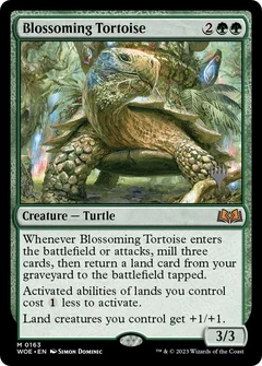 Blossoming Tortoise 163