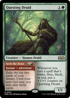 Questing Druid 234