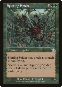 Spitting Spider 125