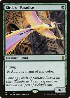 Birds of Paradise 82
