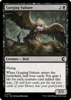 Gorging Vulture 112