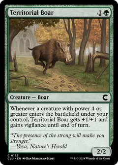 Territorial Boar 175