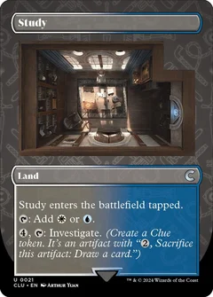 Study (Borderless) 21