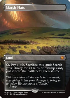 Marsh Flats (Borderless) 110
