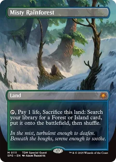 Misty Rainforest (Borderless) 111